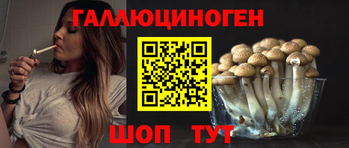 Псилоцибиновые грибы мицелий Саянск
